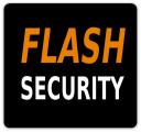Flash security logo